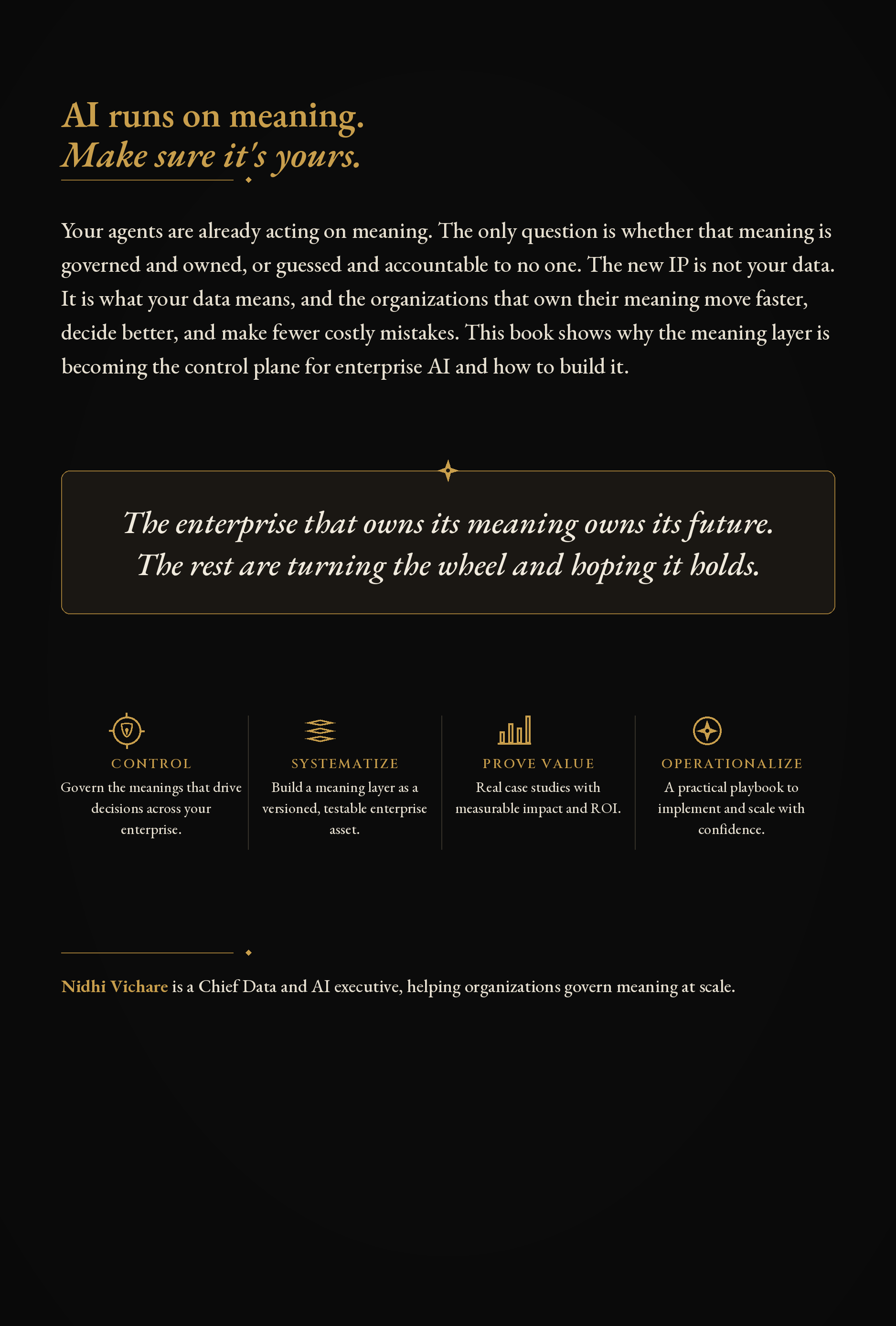 The Meaning Layer back cover